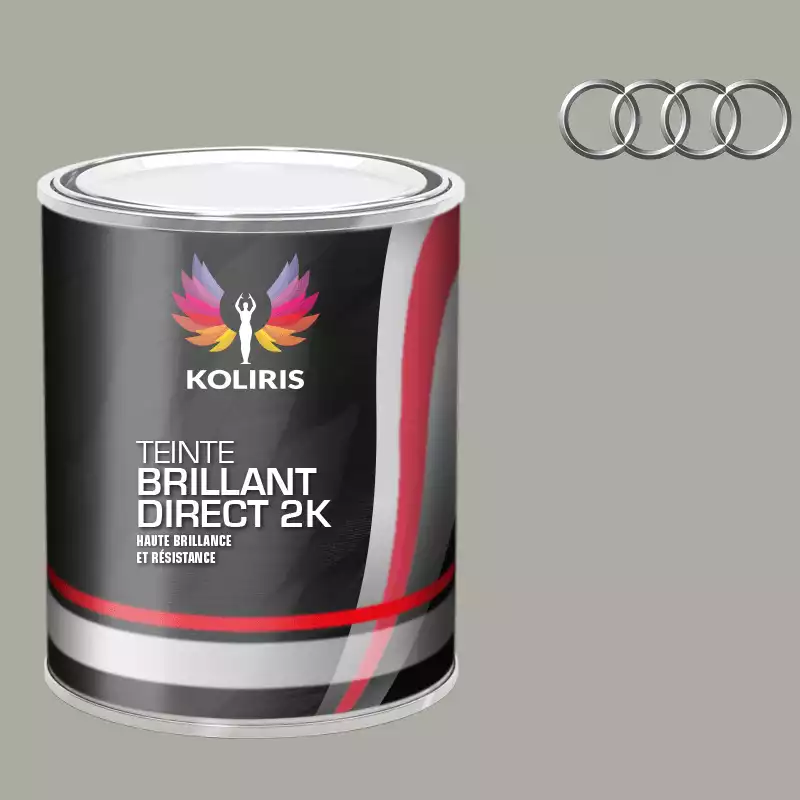 Peinture voiture brillant direct VOC420 Audi