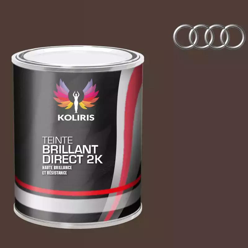 Peinture voiture brillant direct VOC420 Audi