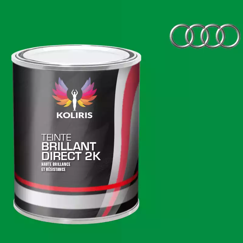 Peinture voiture brillant direct VOC420 Audi