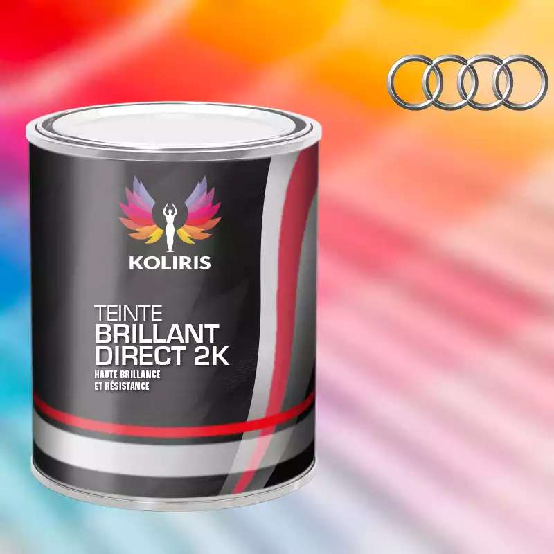 Peinture voiture brillant direct VOC420 Audi