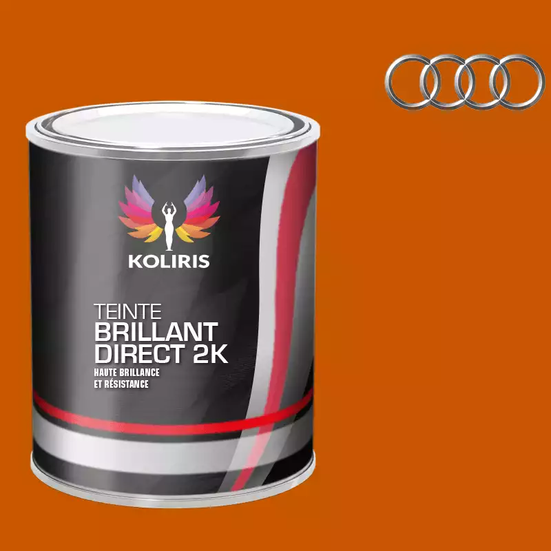 Peinture voiture brillant direct VOC420 Audi