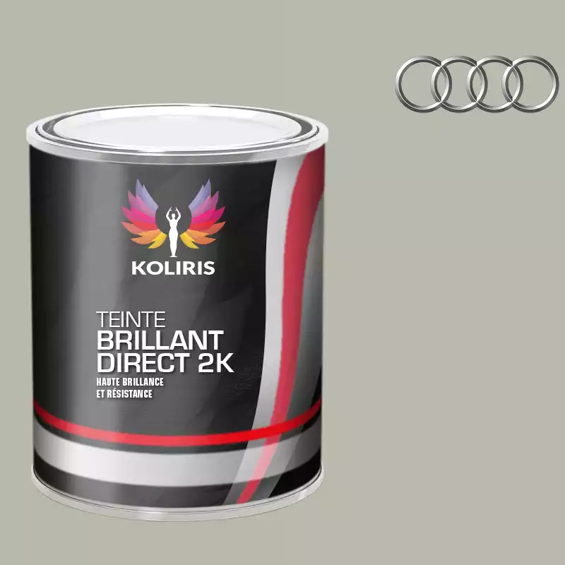 Peinture voiture brillant direct VOC420 Audi