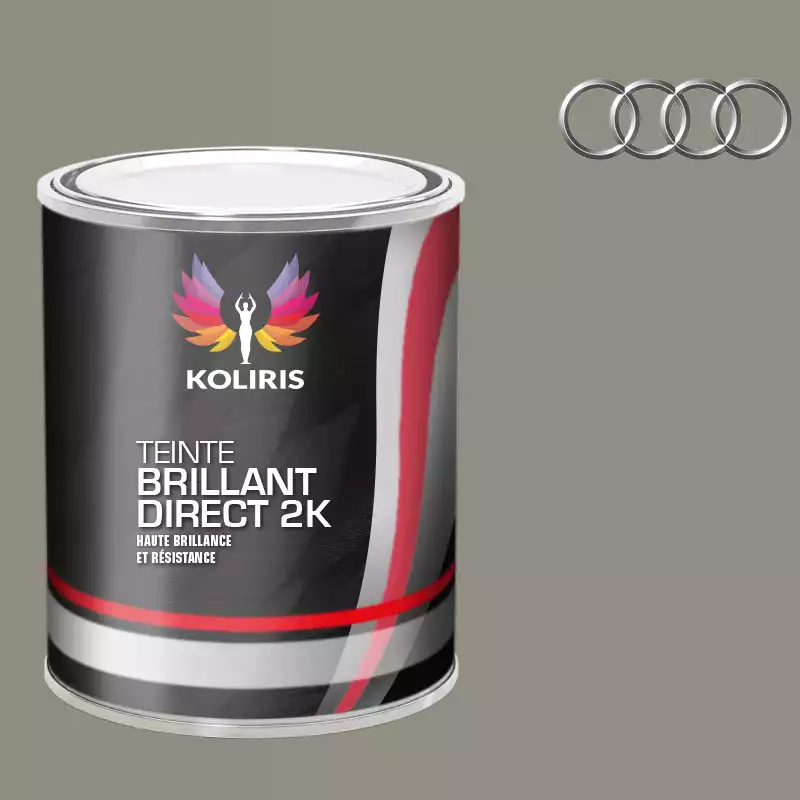 Peinture voiture brillant direct VOC420 Audi