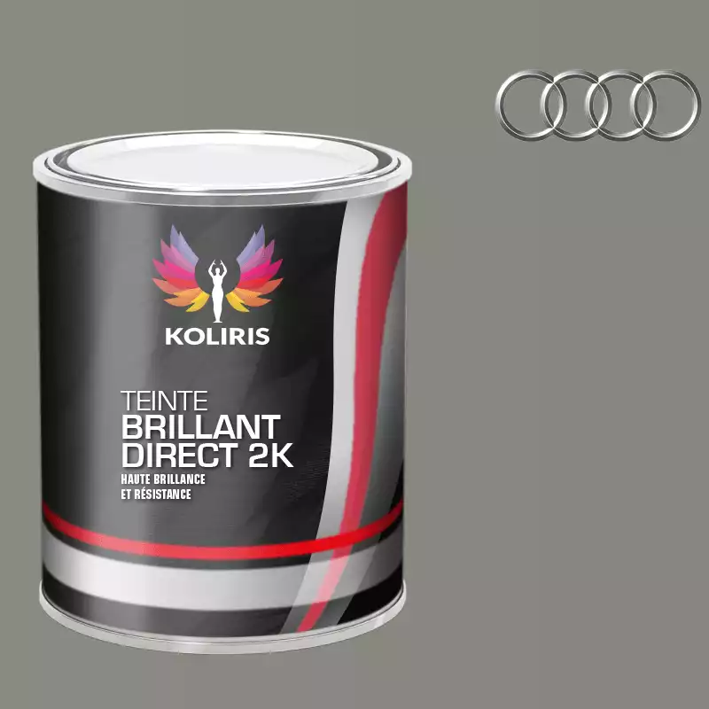 Peinture voiture brillant direct VOC420 Audi