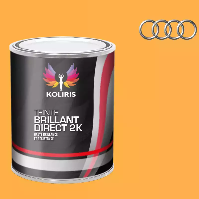 Peinture voiture brillant direct VOC420 Audi