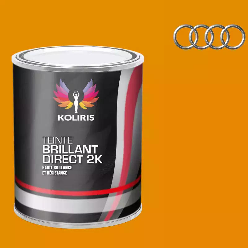 Peinture voiture brillant direct VOC420 Audi