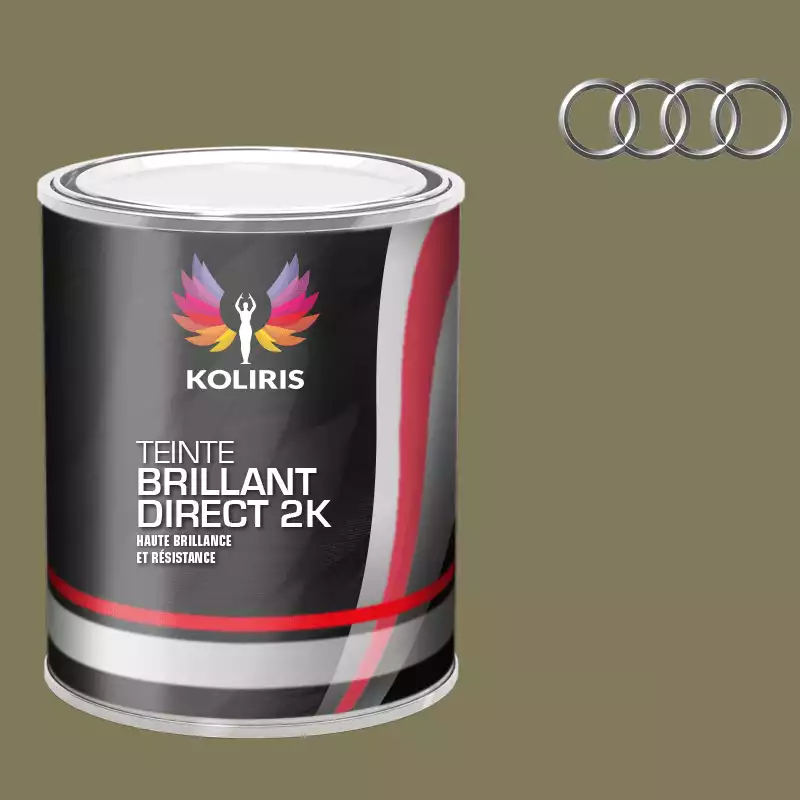 Peinture voiture brillant direct VOC420 Audi