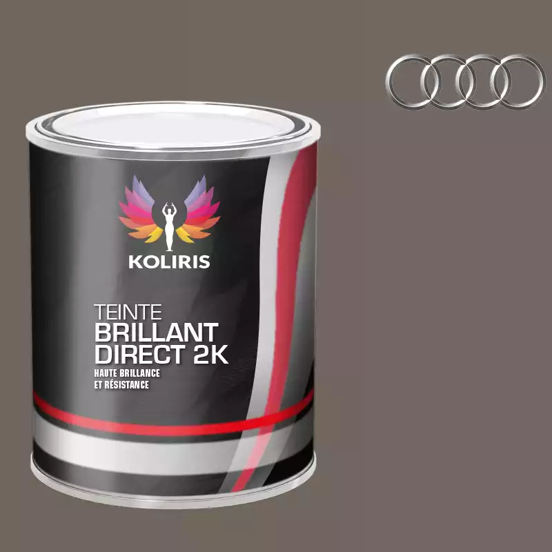 Peinture voiture brillant direct VOC420 Audi