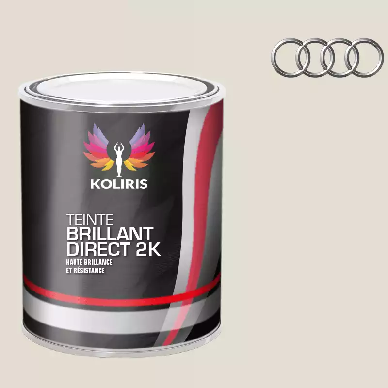 Peinture voiture brillant direct VOC420 Audi