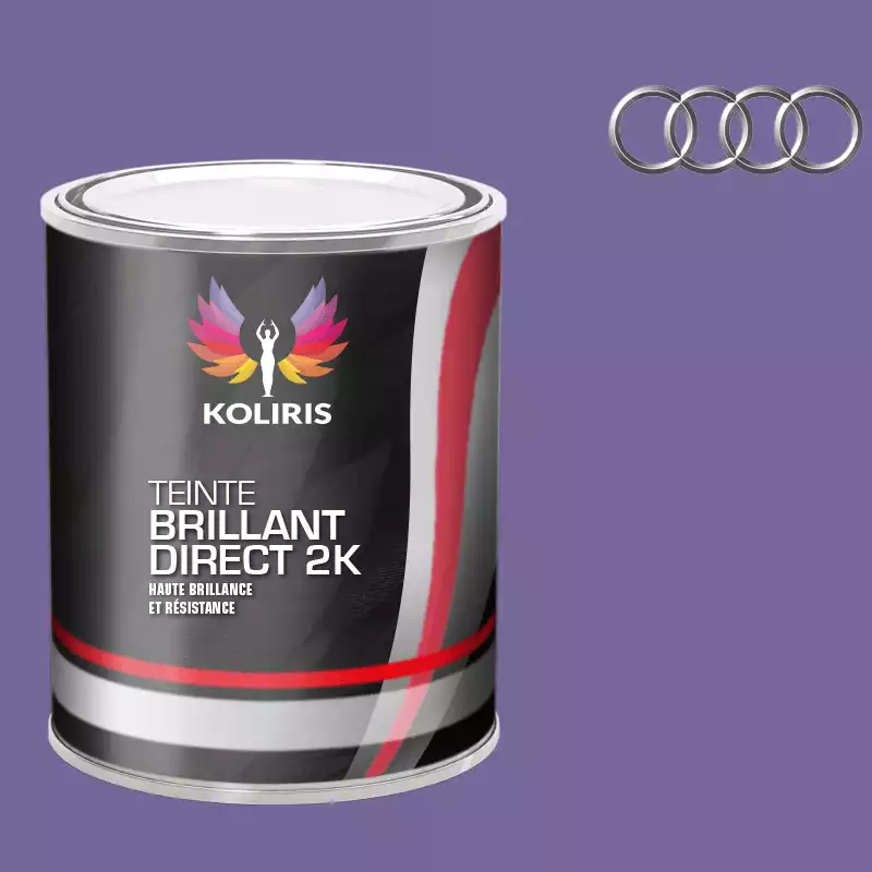 Peinture voiture brillant direct VOC420 Audi