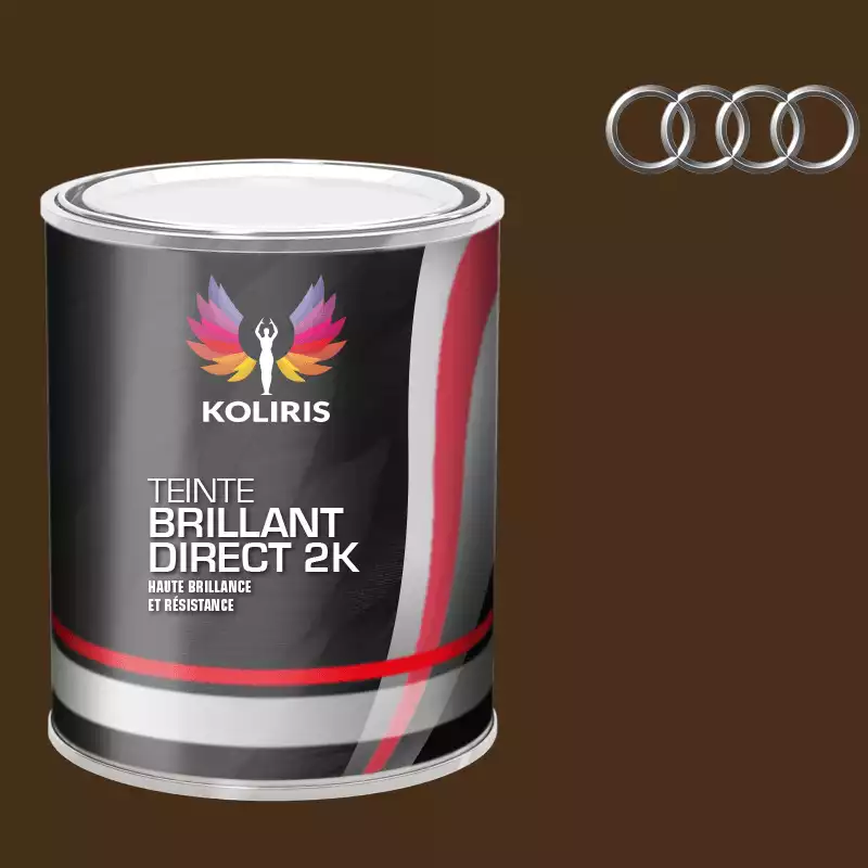 Peinture voiture brillant direct VOC420 Audi