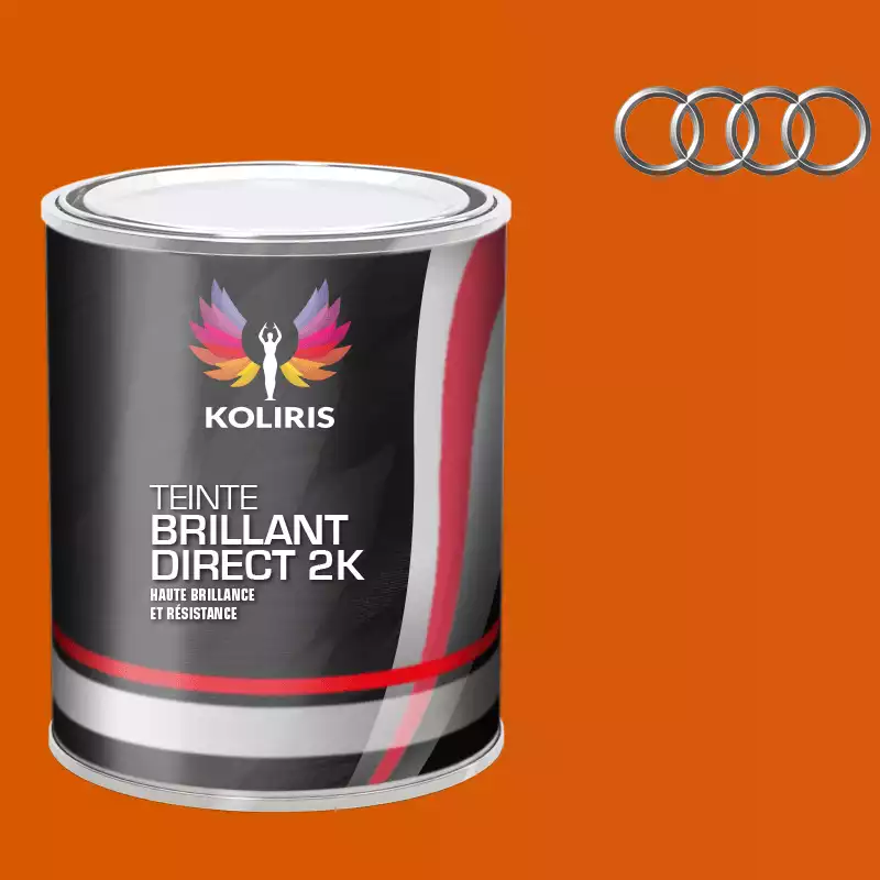 Peinture voiture brillant direct VOC420 Audi