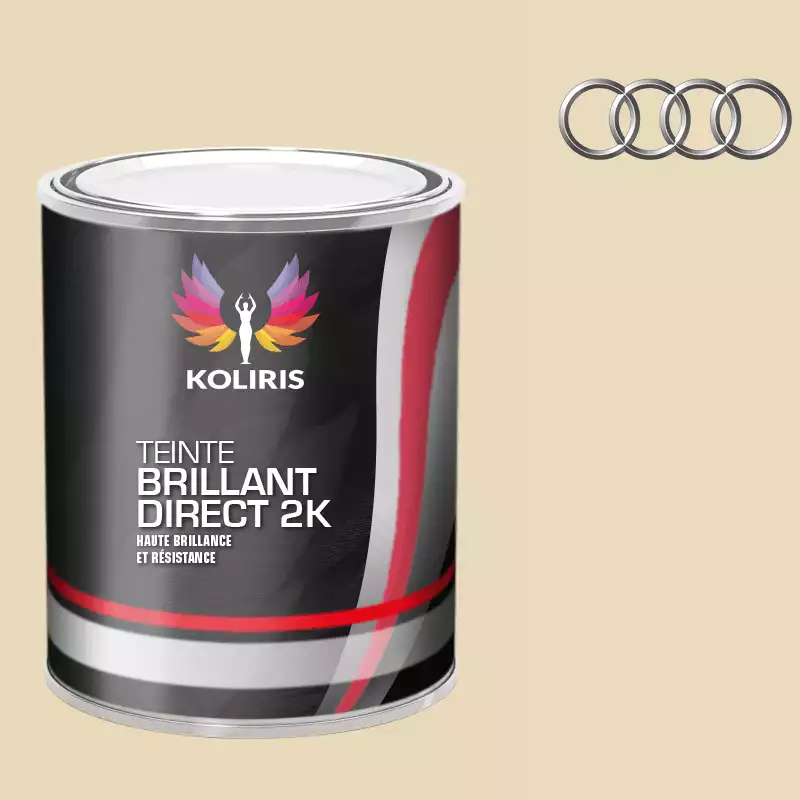 Peinture voiture brillant direct VOC420 Audi