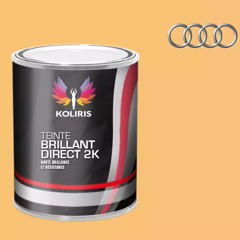 Peinture voiture brillant direct VOC420 Audi