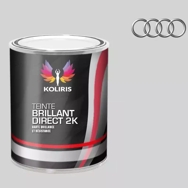 Peinture voiture brillant direct VOC420 Audi