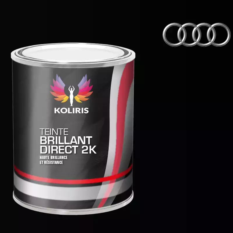 Peinture voiture brillant direct VOC420 Audi