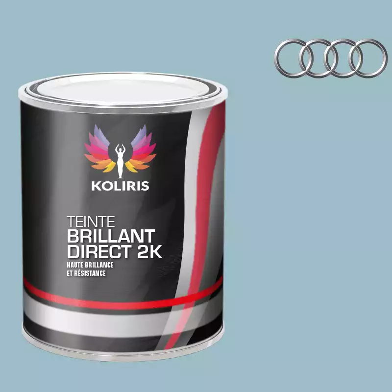 Peinture voiture brillant direct VOC420 Audi