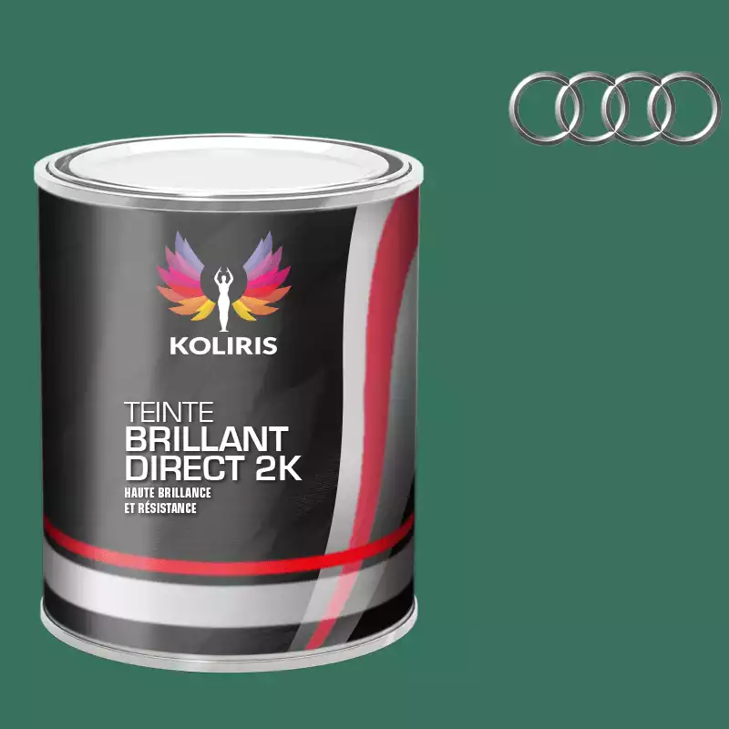 Peinture voiture brillant direct VOC420 Audi