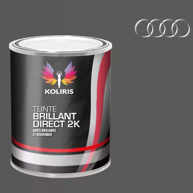 Peinture voiture brillant direct VOC420 Audi