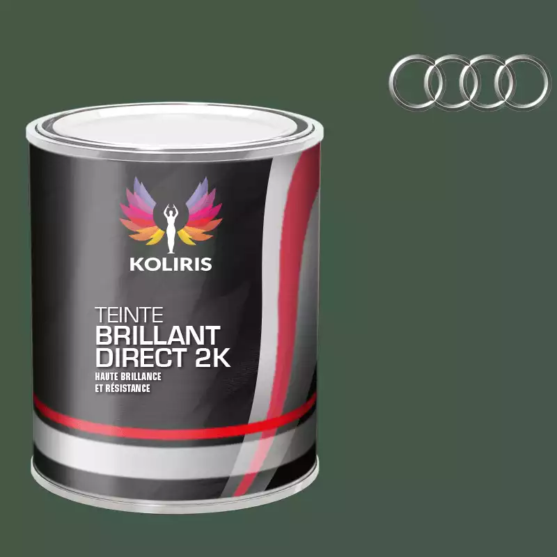 Peinture voiture brillant direct VOC420 Audi