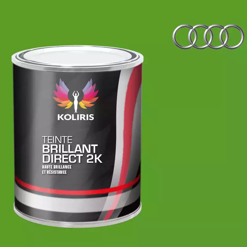 Peinture voiture brillant direct VOC420 Audi