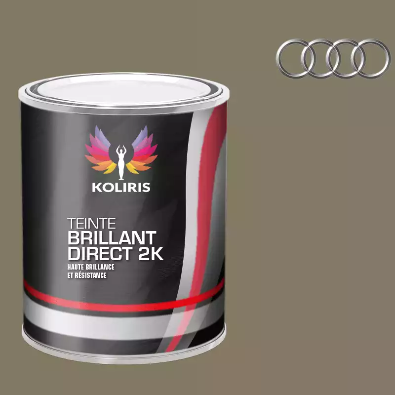 Peinture voiture brillant direct VOC420 Audi