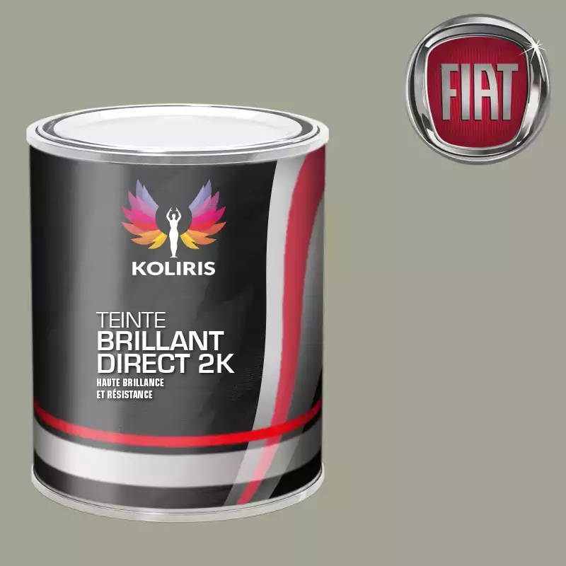 Peinture voiture brillant direct VOC420 Fiat