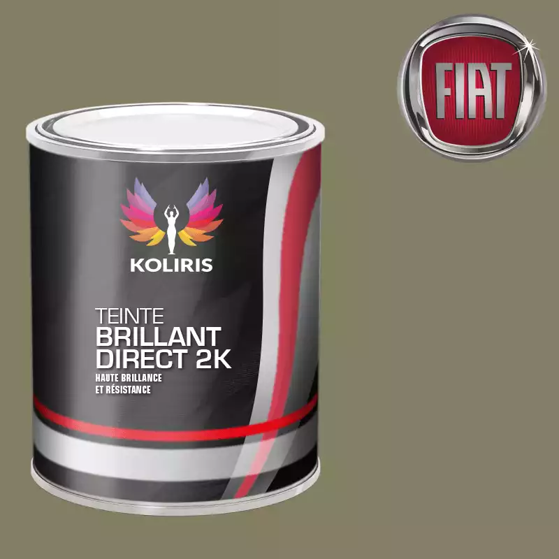 Peinture voiture brillant direct VOC420 Fiat