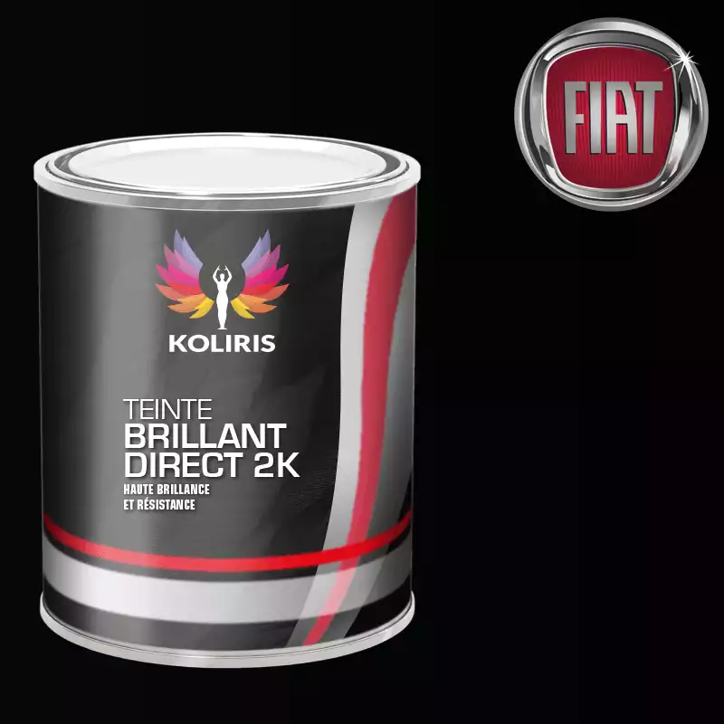 Peinture voiture brillant direct VOC420 Fiat