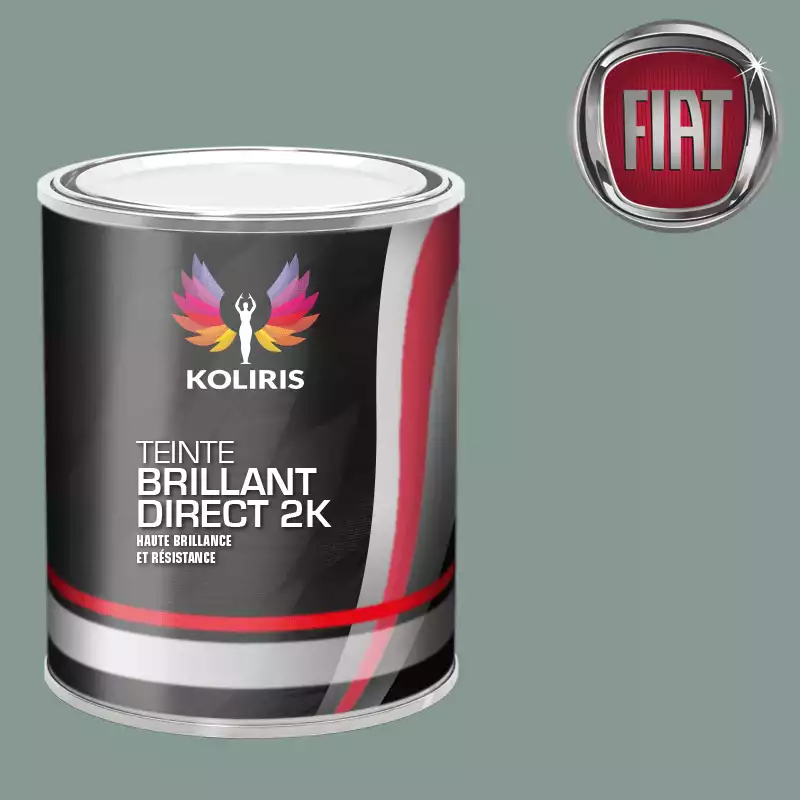 Peinture voiture brillant direct VOC420 Fiat