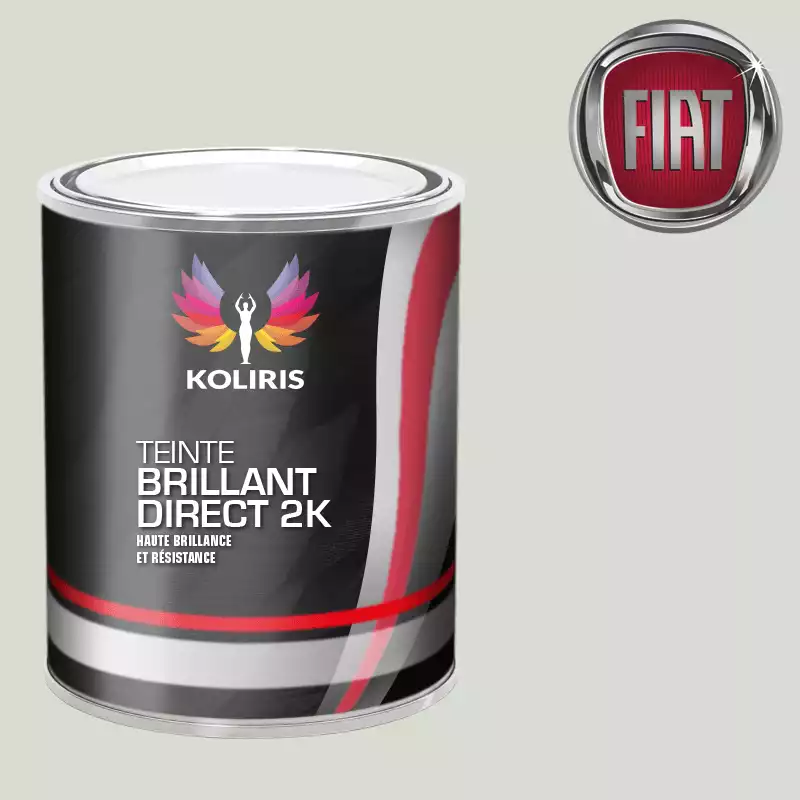 Peinture voiture brillant direct VOC420 Fiat