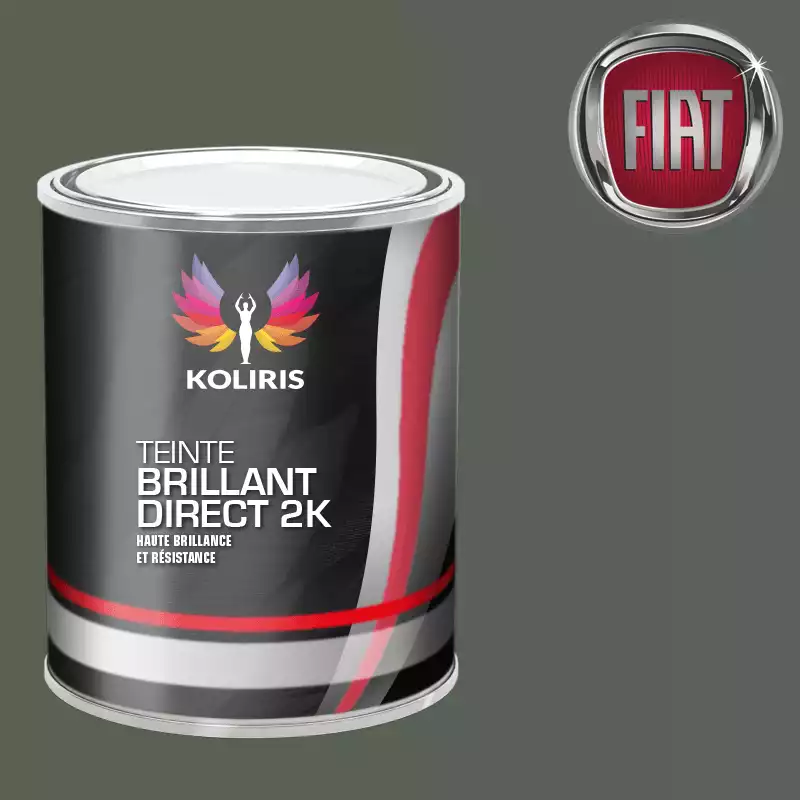 Peinture voiture brillant direct VOC420 Fiat