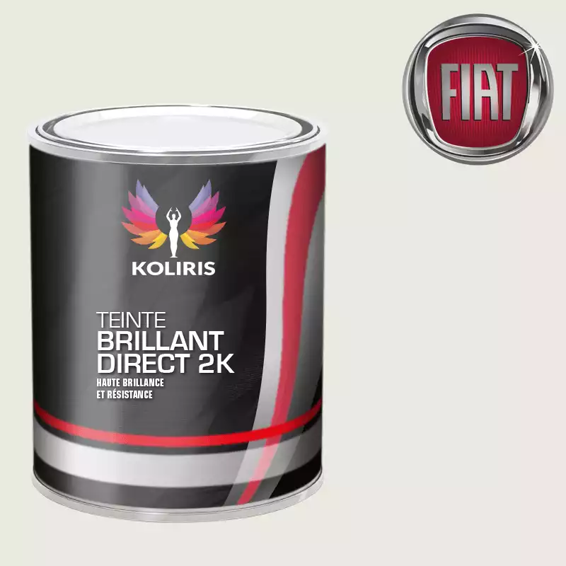 Peinture voiture brillant direct VOC420 Fiat