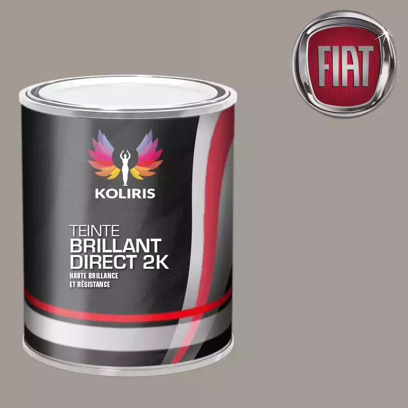 Peinture voiture brillant direct VOC420 Fiat