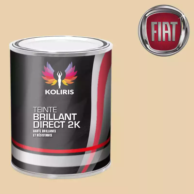 Peinture voiture brillant direct VOC420 Fiat