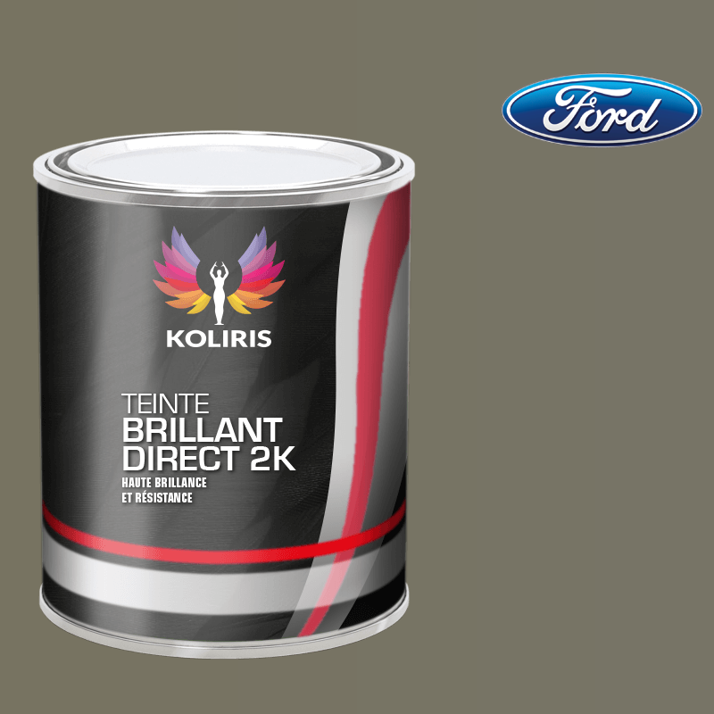 Peinture voiture brillant direct VOC420 Ford