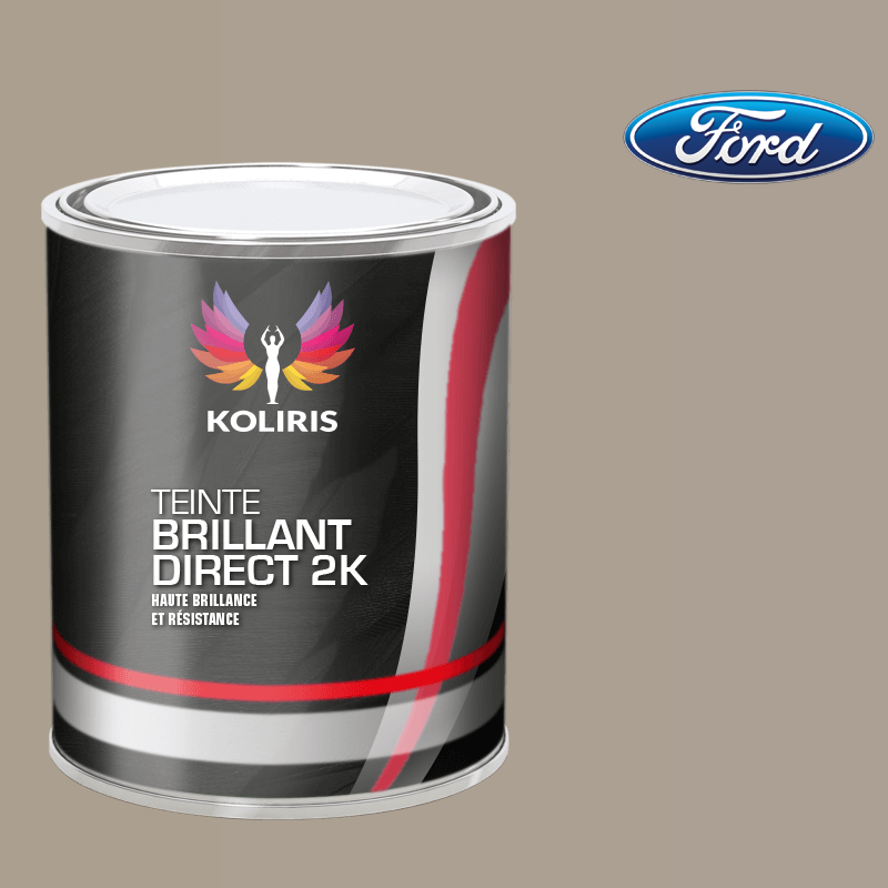 Peinture voiture brillant direct VOC420 Ford