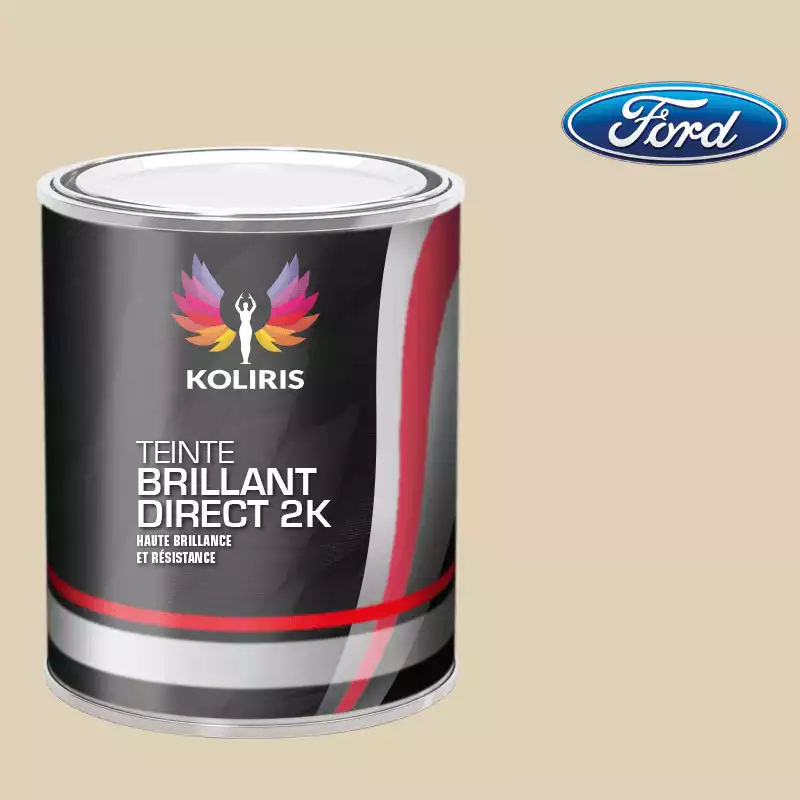 Peinture voiture brillant direct VOC420 Ford