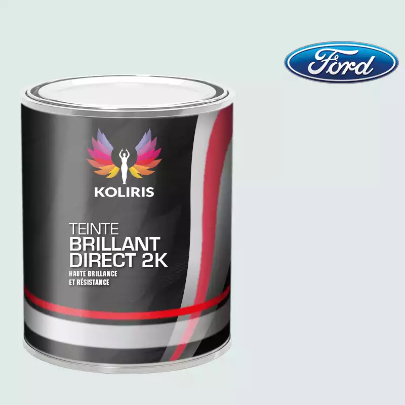 Peinture voiture brillant direct VOC420 Ford