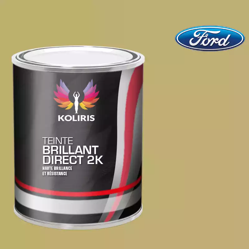 Peinture voiture brillant direct VOC420 Ford