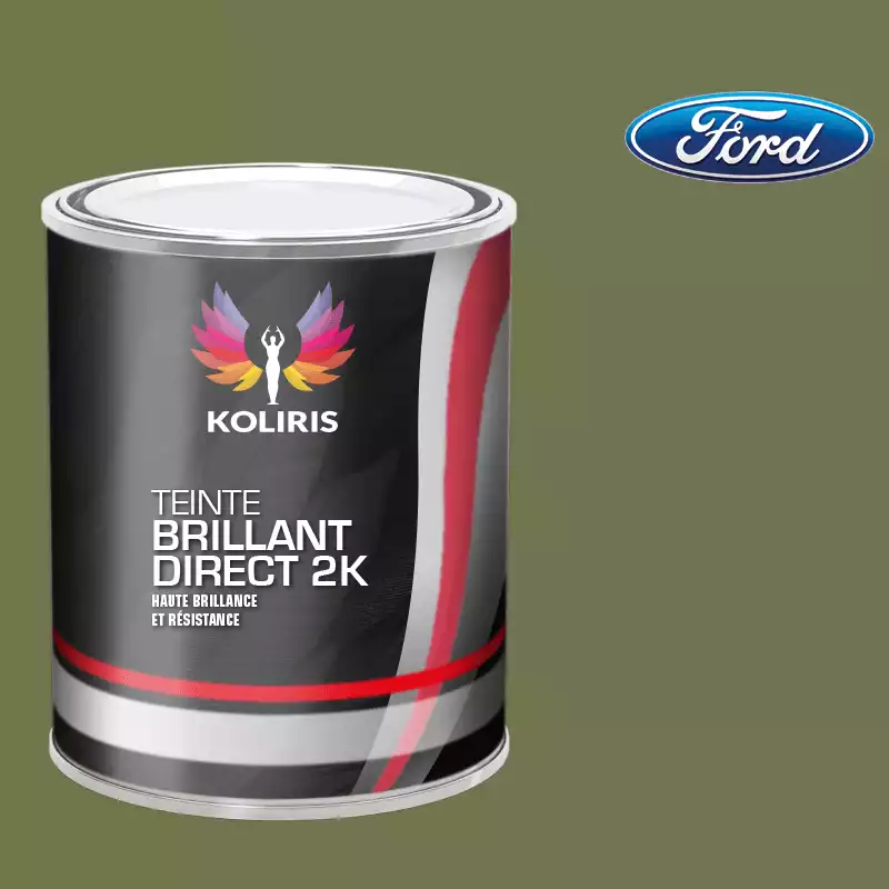 Peinture voiture brillant direct VOC420 Ford