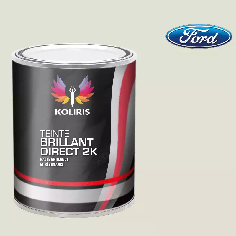 Peinture voiture brillant direct VOC420 Ford