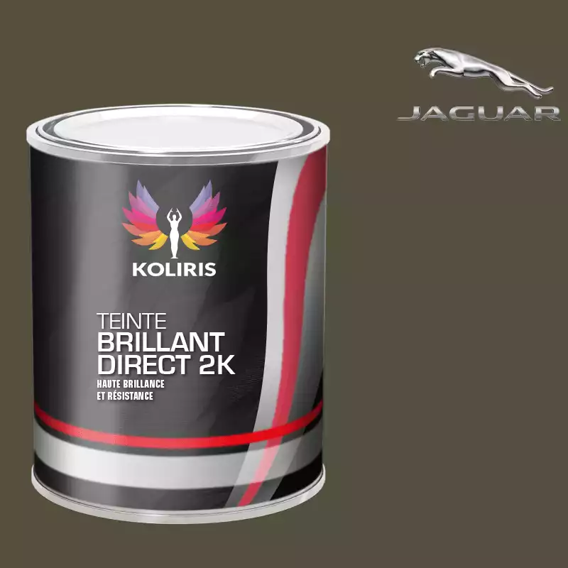 Peinture voiture brillant direct VOC420 Jaguar