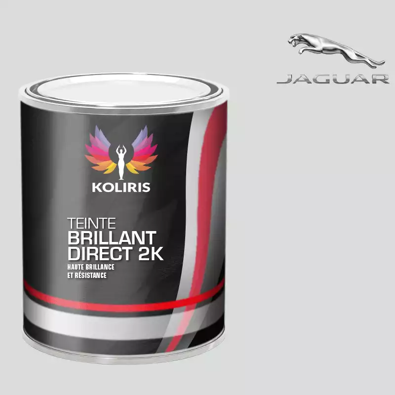 Peinture voiture brillant direct VOC420 Jaguar