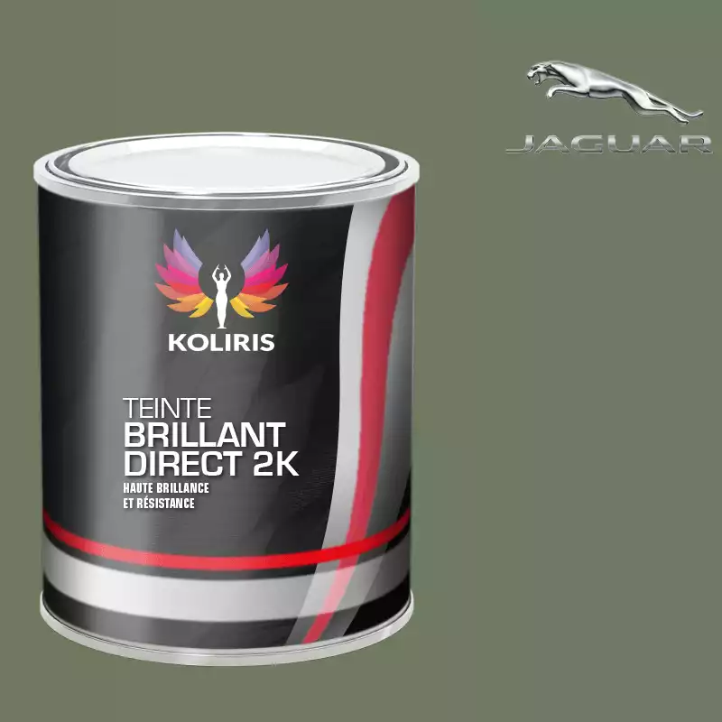 Peinture voiture brillant direct VOC420 Jaguar