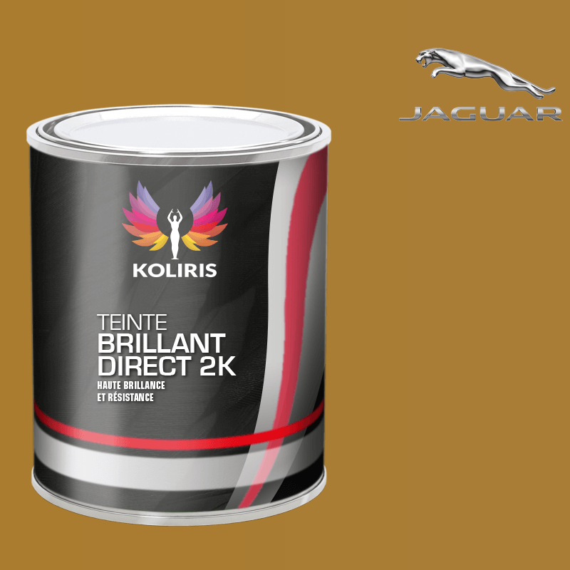 Peinture voiture brillant direct VOC420 Jaguar