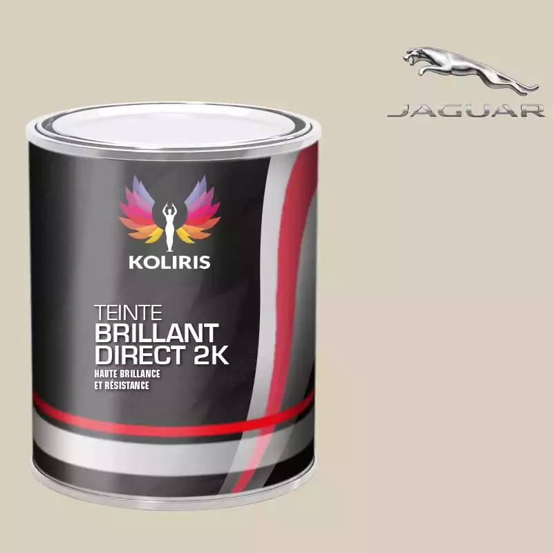 Peinture voiture brillant direct VOC420 Jaguar