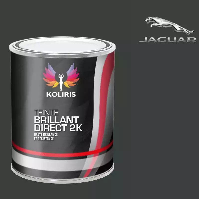 Peinture voiture brillant direct VOC420 Jaguar