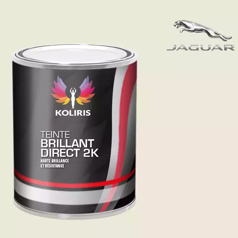 Peinture voiture brillant direct VOC420 Jaguar