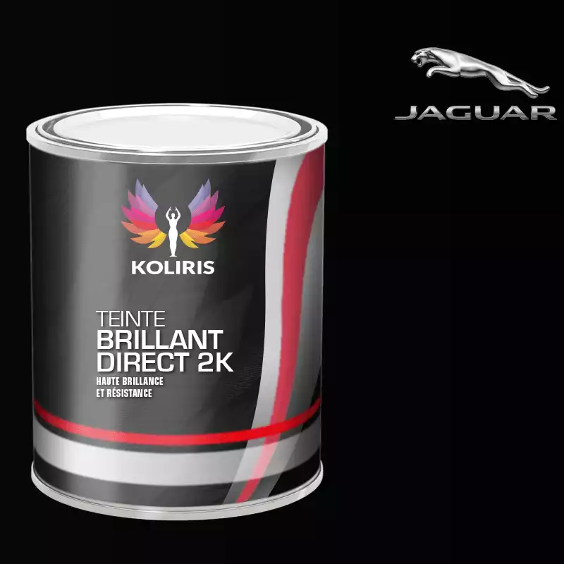 Peinture voiture brillant direct VOC420 Jaguar